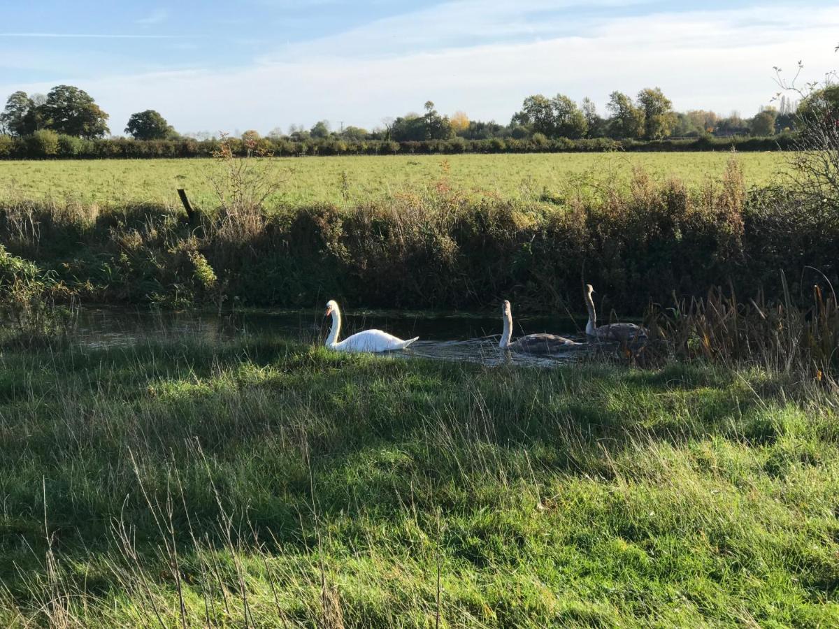 Tupenny Cottage, Old Mill Farm, Cotswold Water Park Cirencester Exteriör bild