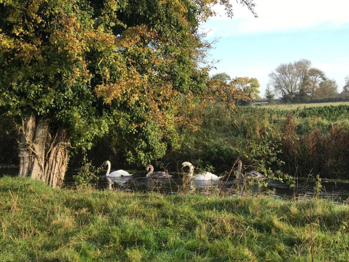 Tupenny Cottage, Old Mill Farm, Cotswold Water Park Cirencester Exteriör bild